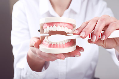 A person s hand holding a tooth model with an open mouth next to a human mouth, emphasizing dental care or oral health education.