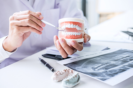 The image shows two photos side by side  on the left, a dental hygienist holding a toothbrush and examining a model mouth  on the right, a hand holding a small model of a human head with an open mouth, next to a magnifying glass and dental tools.